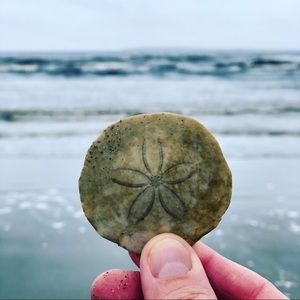 Meet your Posher, Ralph